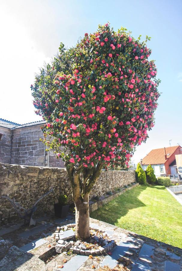 Pension San Marcos Palas de Rei エクステリア 写真
